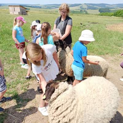 Statek Horní dvůr Luhačovice - 29. června 2021 – fotografie 22